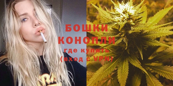 PSILOCYBIN Верея