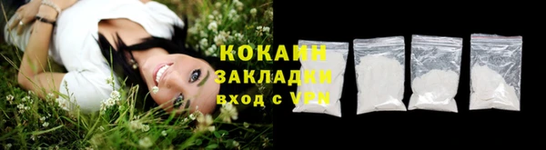 PSILOCYBIN Верея