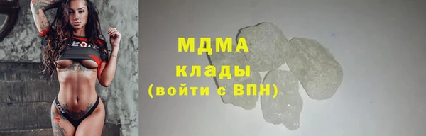 PSILOCYBIN Верея