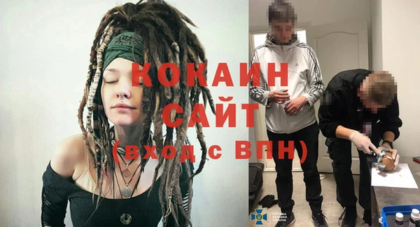 PSILOCYBIN Верея