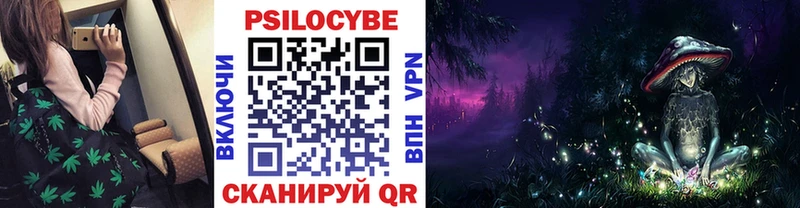 Купить  Кизилюрт  Псилоцибиновые грибы прущие грибы 